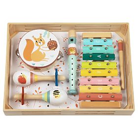 Set musicale - animali del bosco, 2Kids Toys